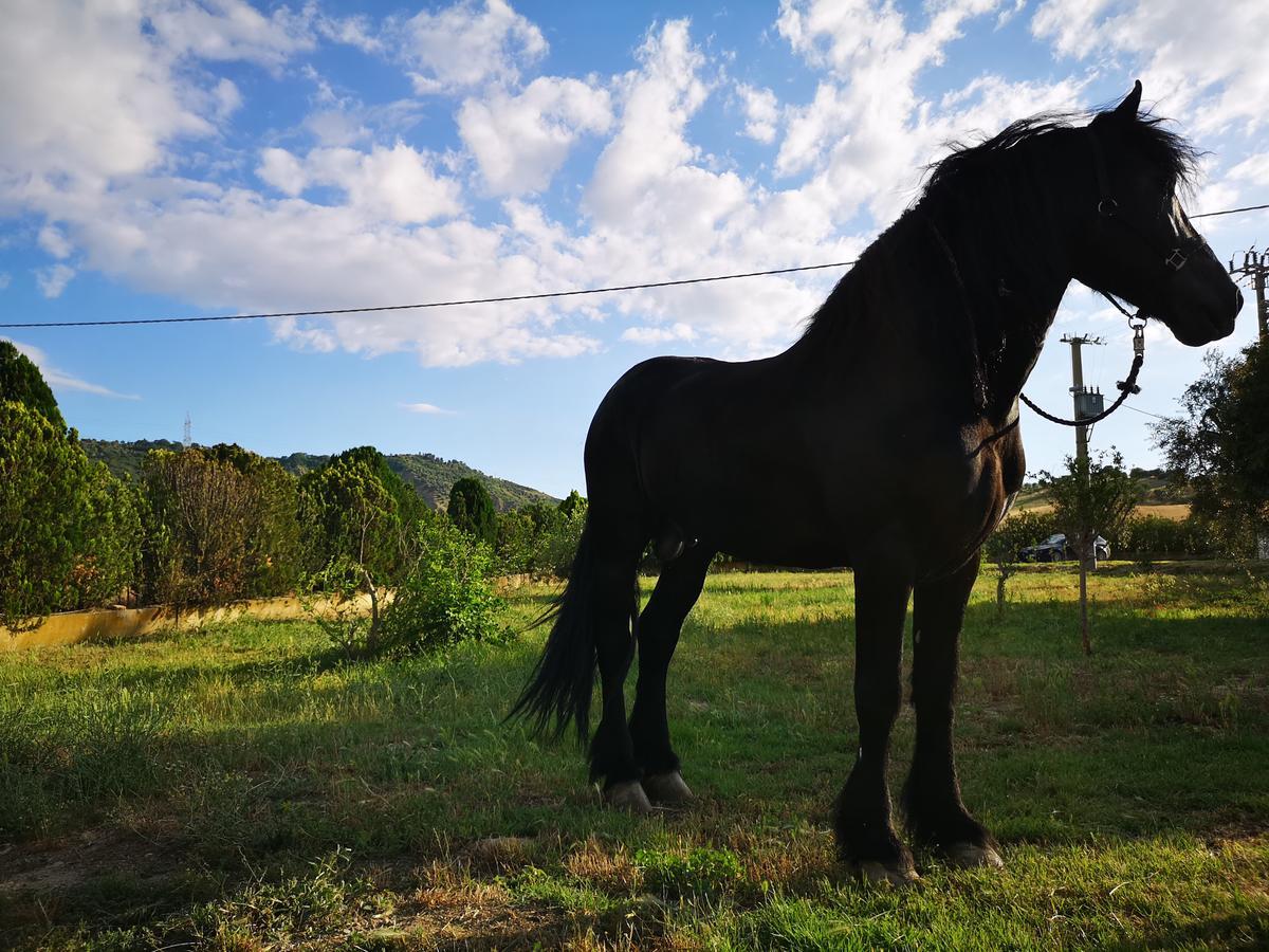 Willa Fontana La Pietra Pisticci Zewnętrze zdjęcie