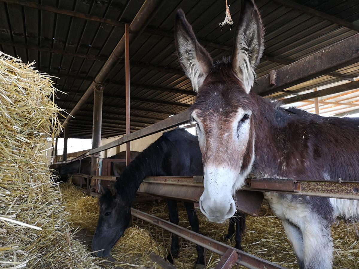 Willa Fontana La Pietra Pisticci Zewnętrze zdjęcie